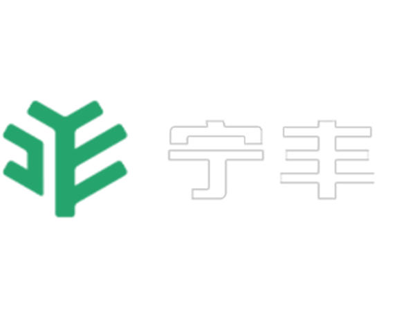 《湖北寧豐新材科技有限公司改擴建項目環境影響報告書》報批前公示